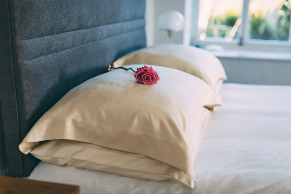 Oxford mulberry silk pillowcase display